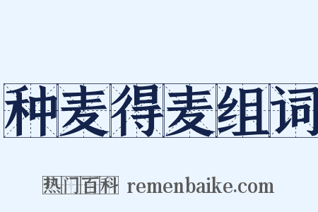 种麦得麦组词是什么意思的图片